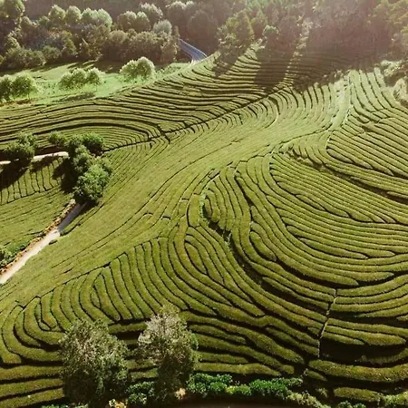 Casa Dos Foros Ribeira Grande