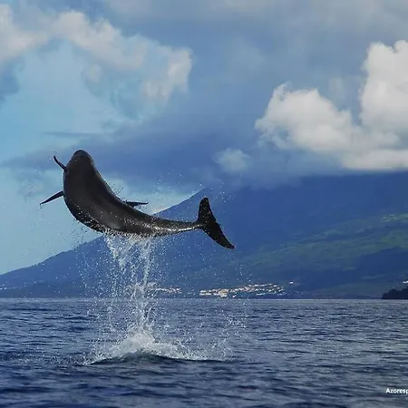 Apartment Casa Dos Foros Ribeira Grande