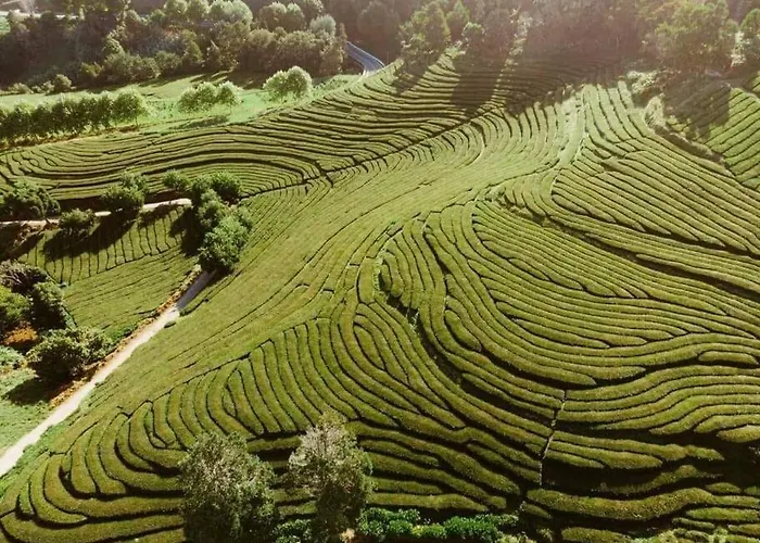 Casa Dos Foros Ribeira Grande