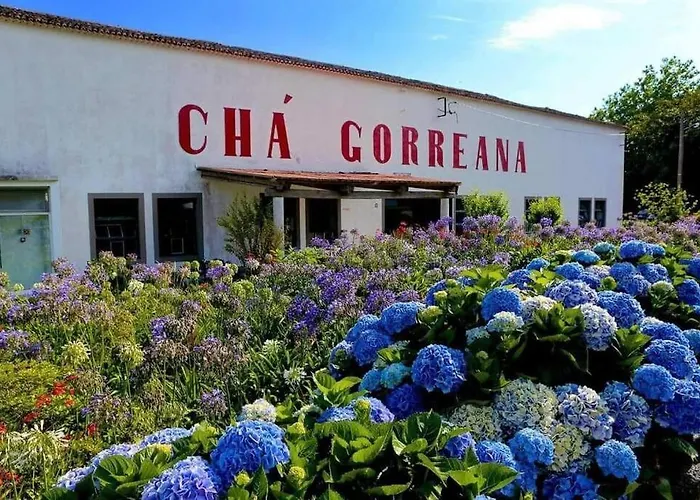 Apartamento Casa Dos Foros Ribeira Grande