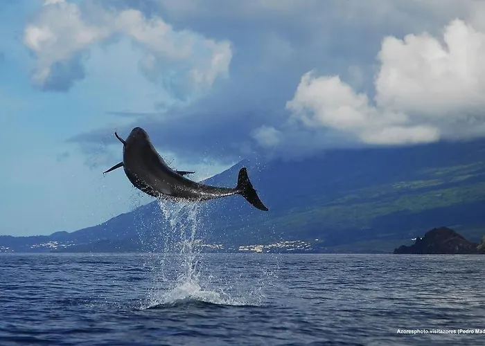 Apartamento Casa Dos Foros Ribeira Grande
